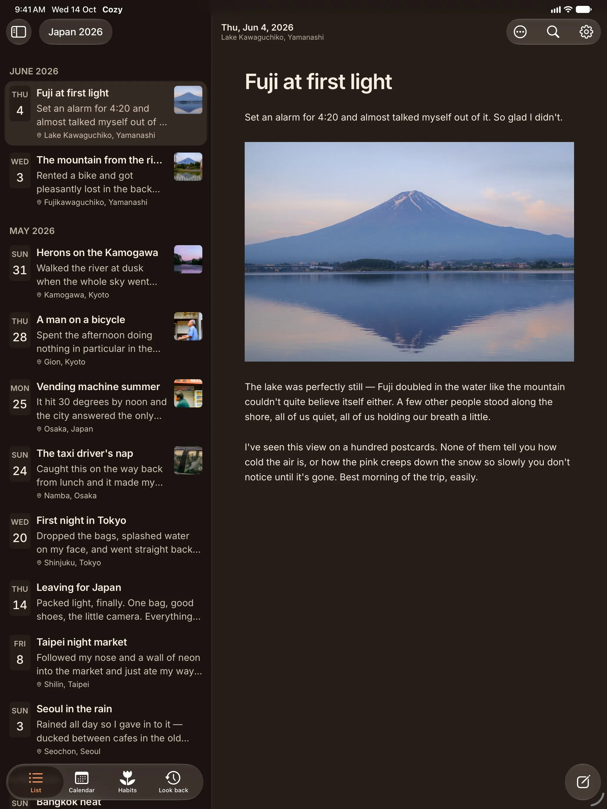 Cozy on iPad: the list of entries beside an open entry. Dark theme.