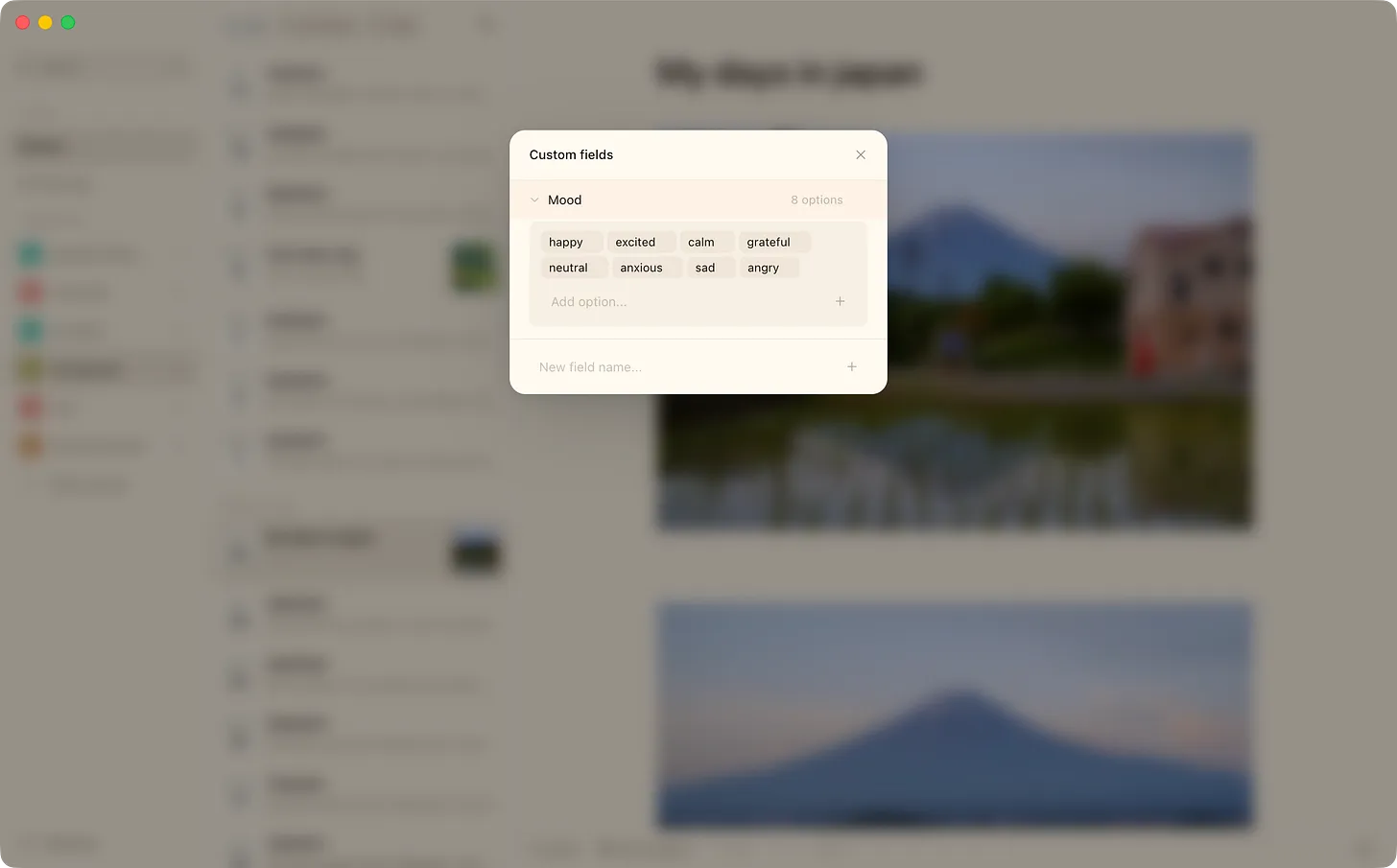 Custom fields — attach mood, habits, or anything else you want to track