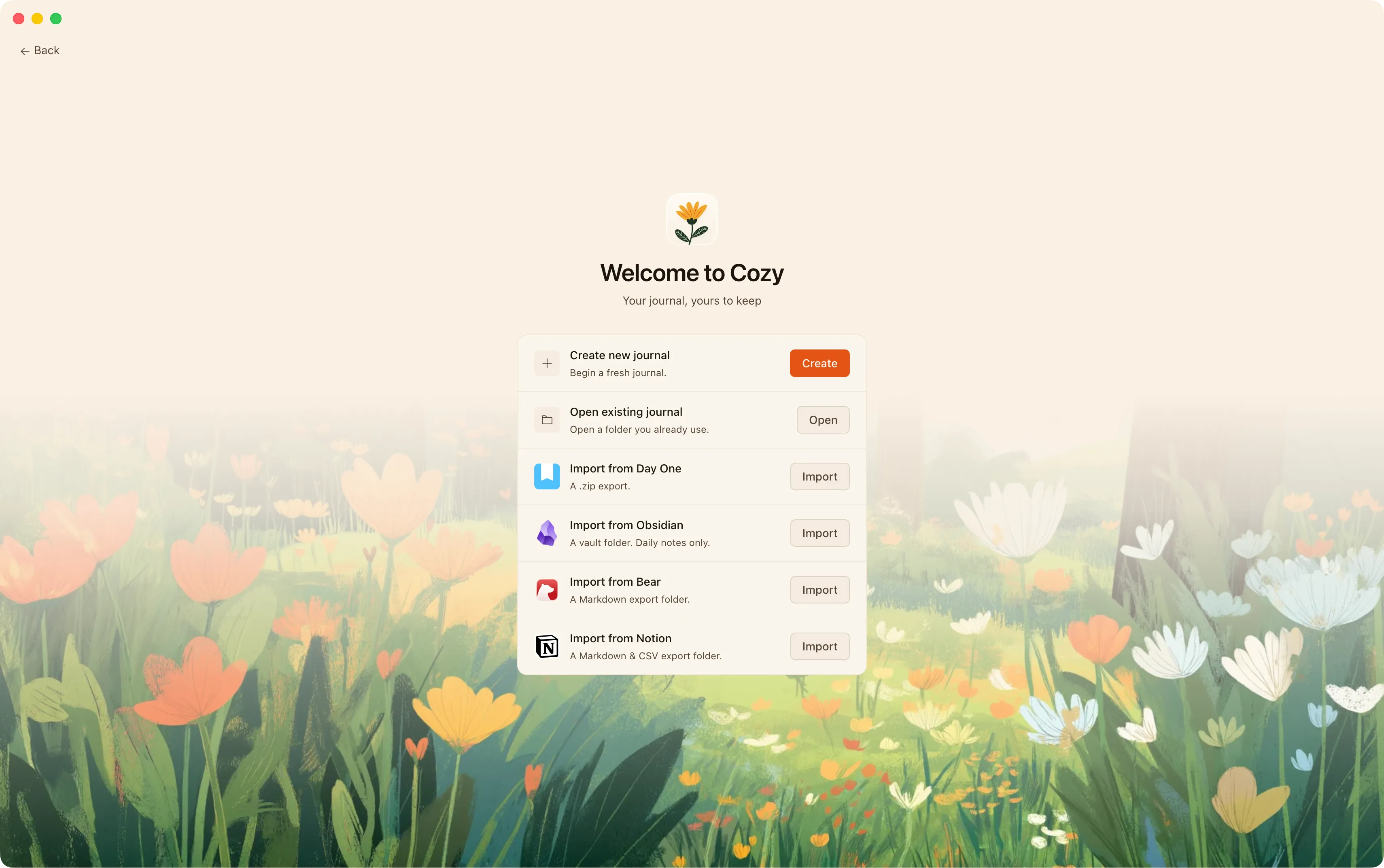 The Notion import option in Cozy