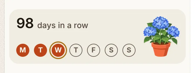 The streak card counting days in a row, with the days of this week as letters and a potted hydrangea